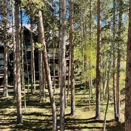 Luxury Modern Townhome Steps To Ski Lifts And Downtown With Nature At Your Patio ブリッケンリッジ エクステリア 写真